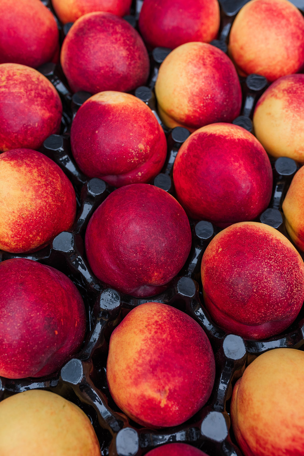 Nectarines