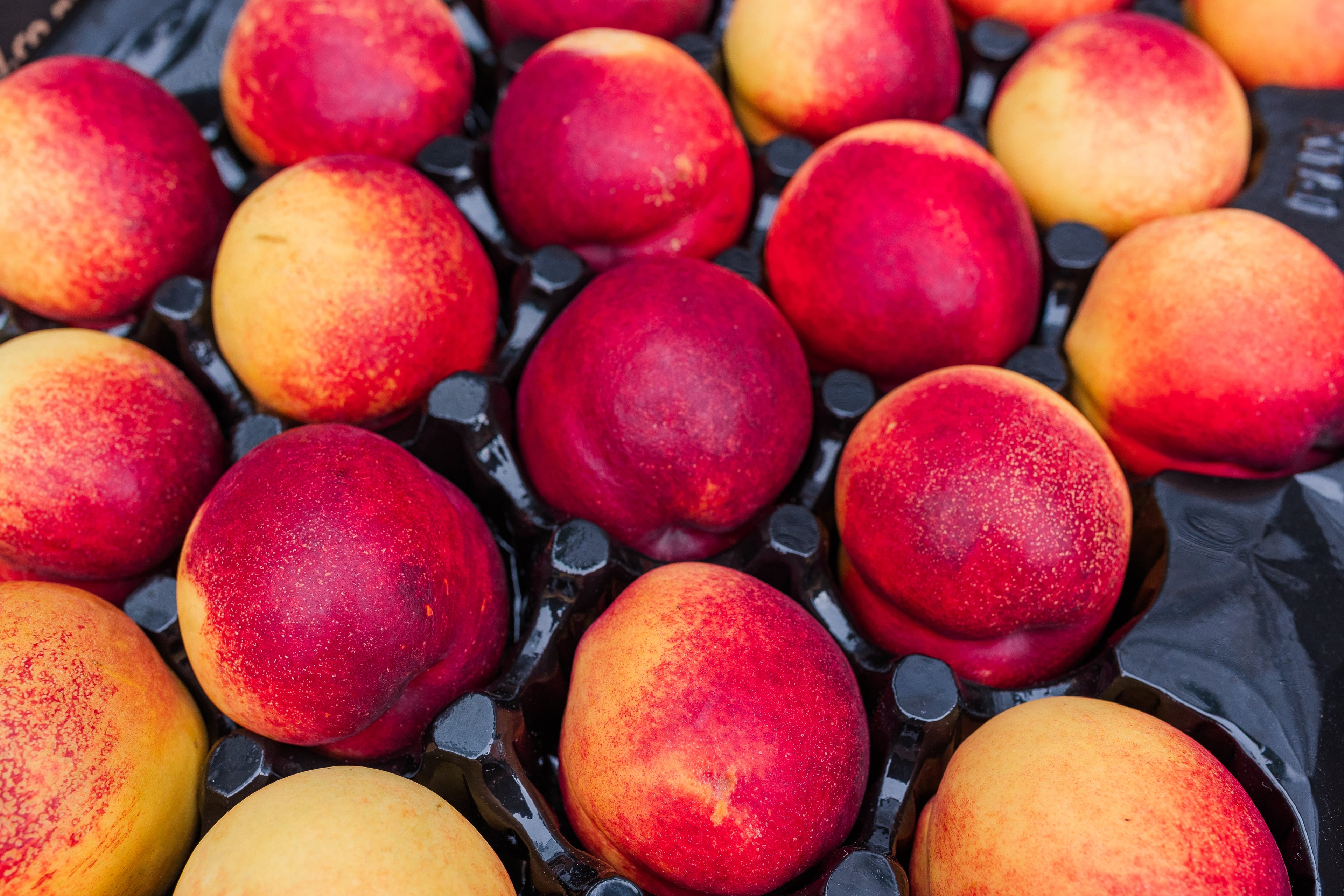Nectarines
