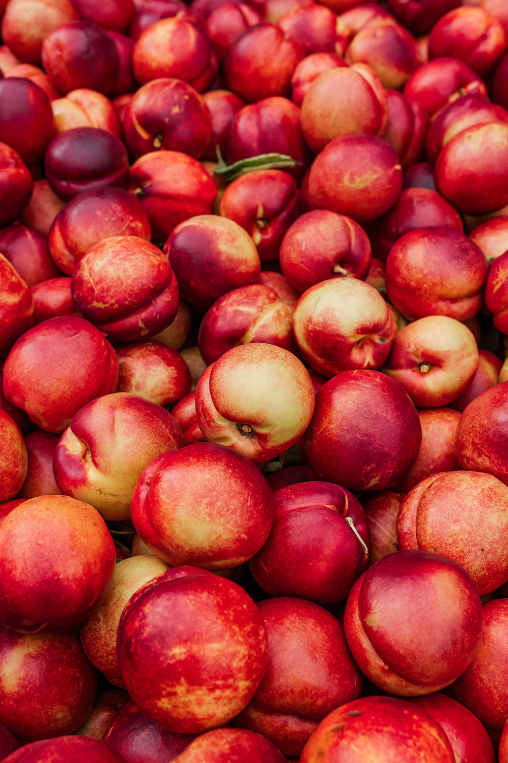 Nectarines