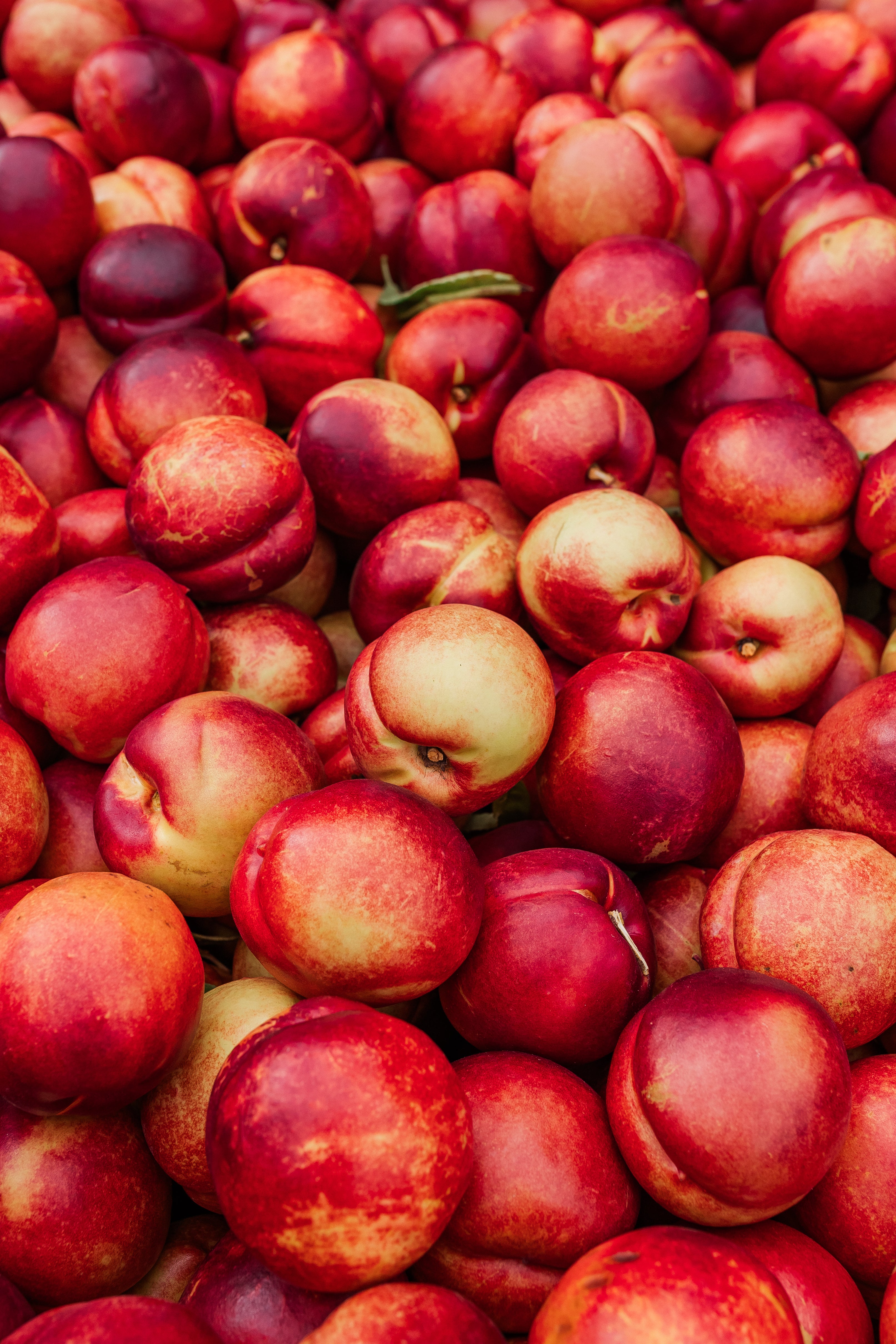 Nectarines