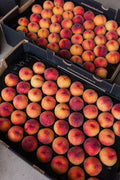 Yellow flesh peaches