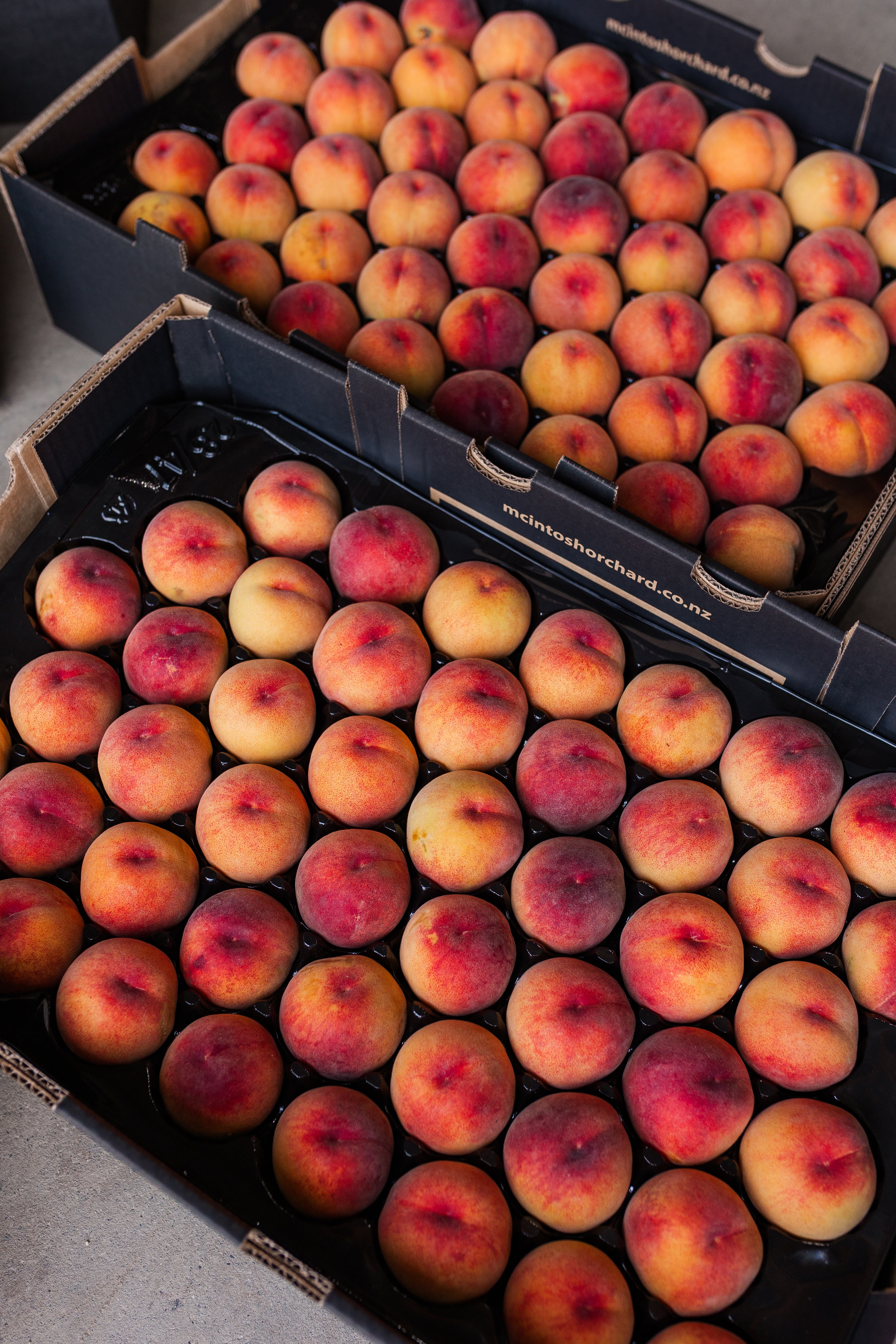 Yellow flesh peaches