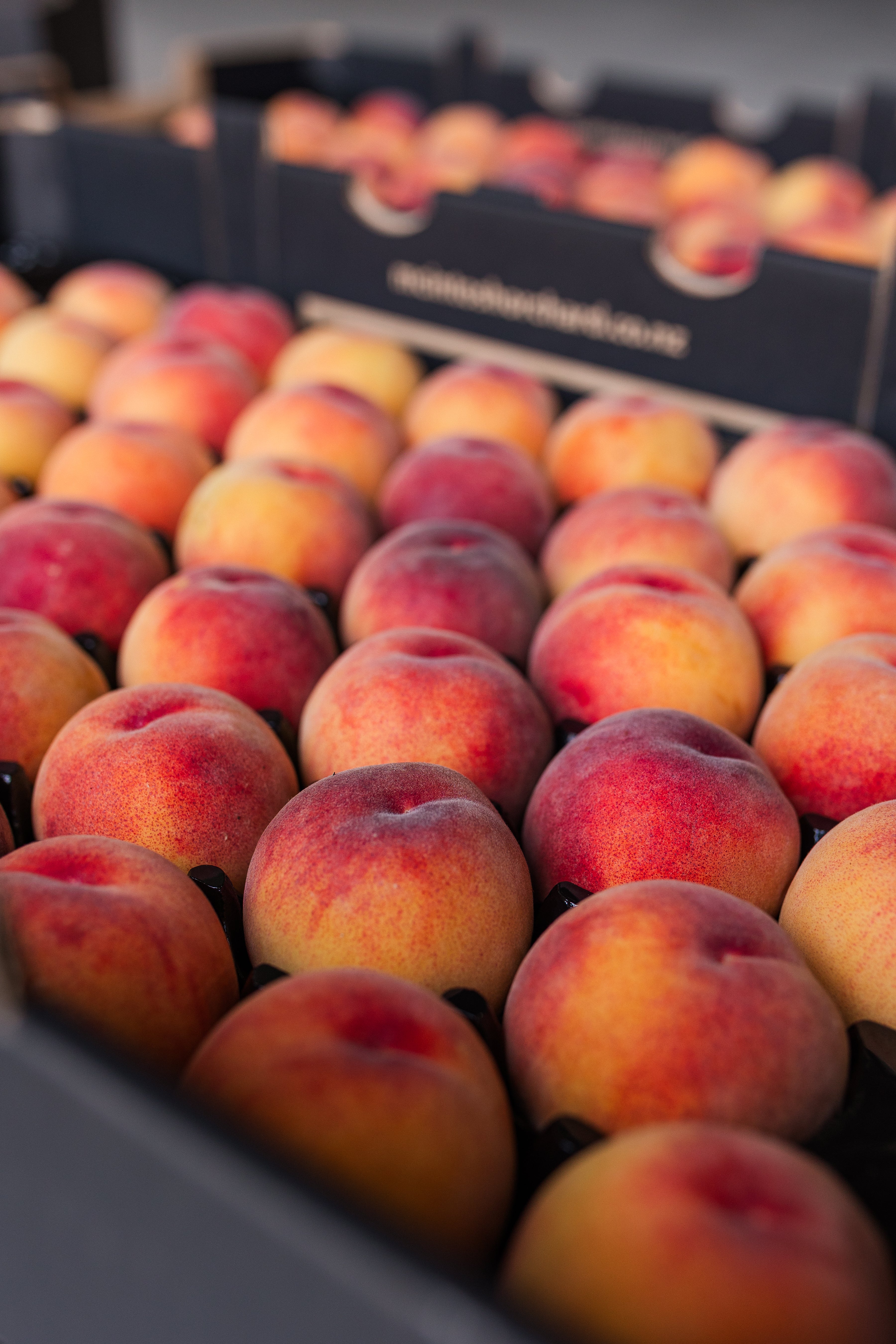 Yellow flesh peaches