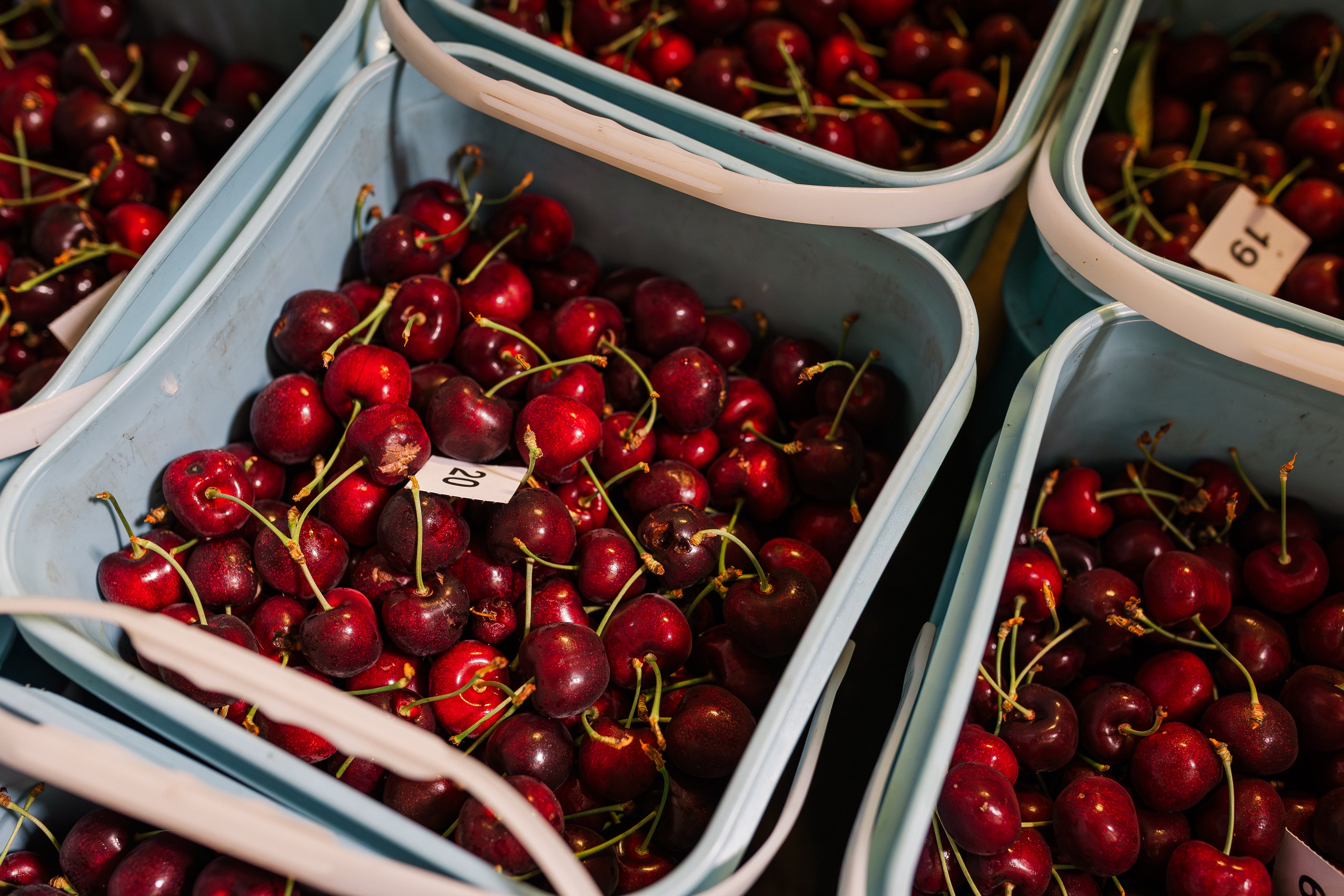 1kg Premium 30mm+ Sweet Red Cherries (Delivery pre-Christmas- FREE SHIPPING)