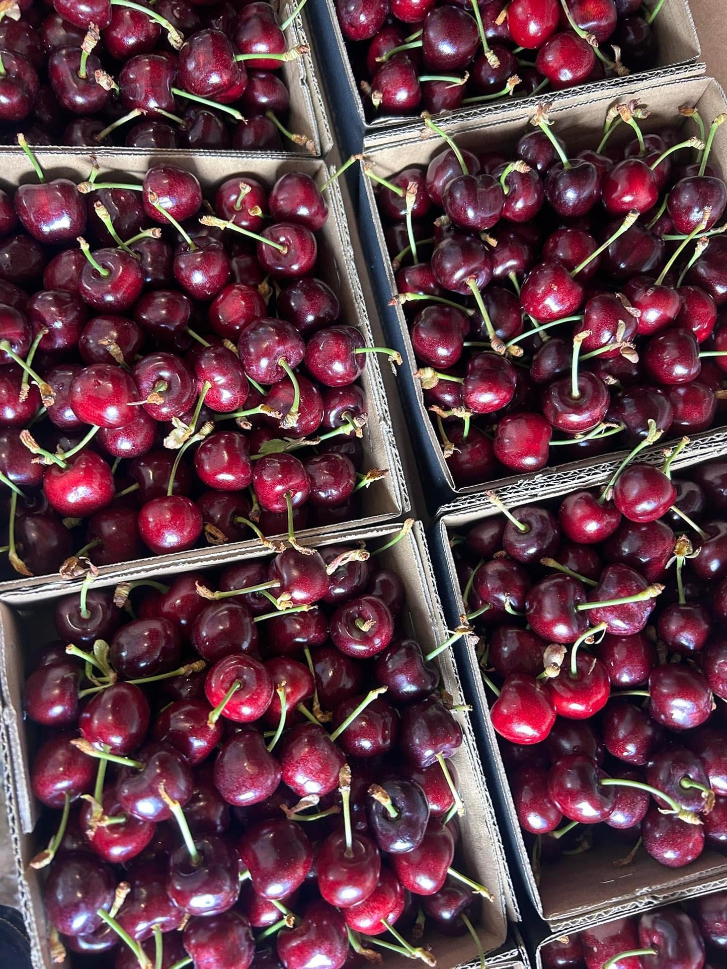 2kg Premium 30mm+ Sweet Red Cherries (Delivery pre-Christmas- FREE SHIPPING)